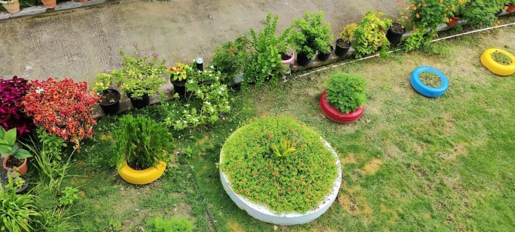 Reef valley resort 1000165303