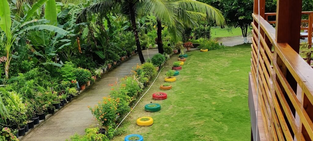 Reef valley resort 1000165304